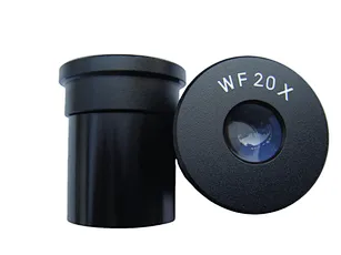 FOV10